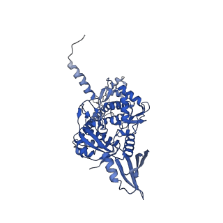 4909_6rks_C_v1-3
E. coli DNA Gyrase - DNA binding and cleavage domain in State 1 without TOPRIM insertion