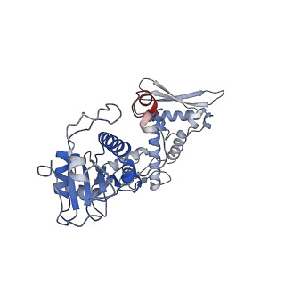 4910_6rku_B_v1-2
E. coli DNA Gyrase - DNA binding and cleavage domain in State 1
