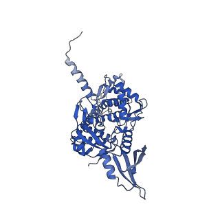4910_6rku_C_v1-2
E. coli DNA Gyrase - DNA binding and cleavage domain in State 1