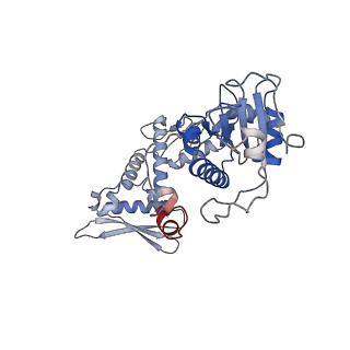 4910_6rku_D_v1-2
E. coli DNA Gyrase - DNA binding and cleavage domain in State 1