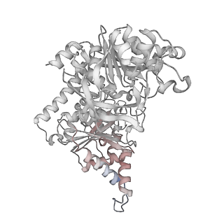 24516_7rl5_A_v1-0
Yeast CTP Synthase (URA8) filament bound to CTP at low pH