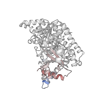 24516_7rl5_B_v1-0
Yeast CTP Synthase (URA8) filament bound to CTP at low pH