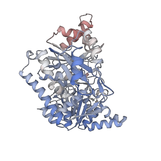 24516_7rl5_C_v1-0
Yeast CTP Synthase (URA8) filament bound to CTP at low pH
