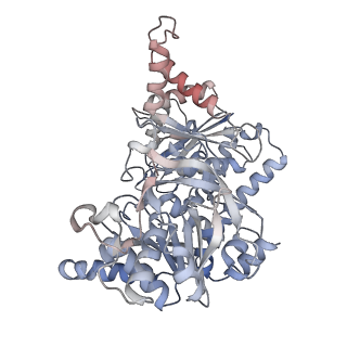 24516_7rl5_D_v1-0
Yeast CTP Synthase (URA8) filament bound to CTP at low pH