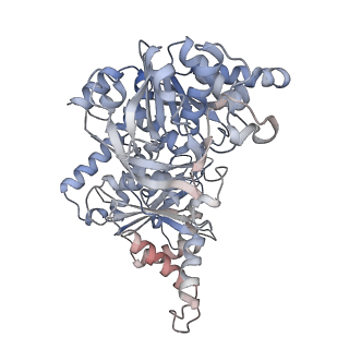 24516_7rl5_E_v1-0
Yeast CTP Synthase (URA8) filament bound to CTP at low pH