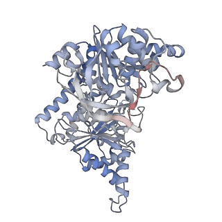 24516_7rl5_L_v1-0
Yeast CTP Synthase (URA8) filament bound to CTP at low pH