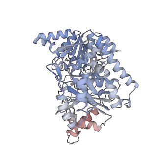 24516_7rl5_M_v1-0
Yeast CTP Synthase (URA8) filament bound to CTP at low pH