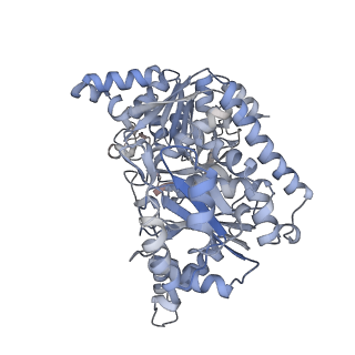 24516_7rl5_O_v1-0
Yeast CTP Synthase (URA8) filament bound to CTP at low pH