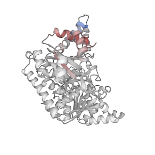 24516_7rl5_P_v1-0
Yeast CTP Synthase (URA8) filament bound to CTP at low pH