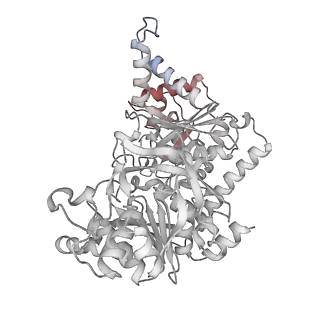 24516_7rl5_R_v1-0
Yeast CTP Synthase (URA8) filament bound to CTP at low pH