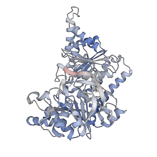 24516_7rl5_S_v1-0
Yeast CTP Synthase (URA8) filament bound to CTP at low pH