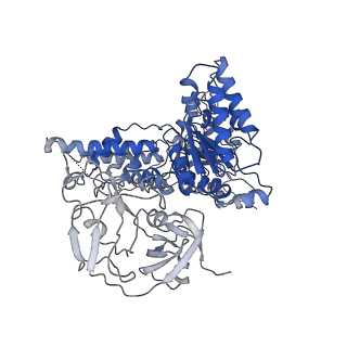 24518_7rl6_A_v1-2
Cryo-EM structure of human p97-R155H mutant bound to ADP.