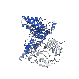 24518_7rl6_B_v1-2
Cryo-EM structure of human p97-R155H mutant bound to ADP.