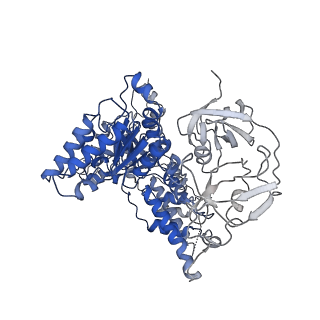 24518_7rl6_C_v1-2
Cryo-EM structure of human p97-R155H mutant bound to ADP.