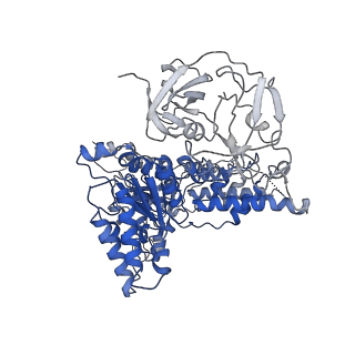 24518_7rl6_D_v1-2
Cryo-EM structure of human p97-R155H mutant bound to ADP.