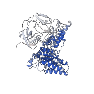 24518_7rl6_E_v1-2
Cryo-EM structure of human p97-R155H mutant bound to ADP.