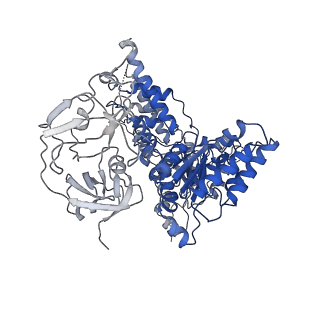 24518_7rl6_F_v1-2
Cryo-EM structure of human p97-R155H mutant bound to ADP.