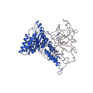 24519_7rl7_B_v1-2
Cryo-EM structure of human p97-R155H mutant bound to ATPgS.