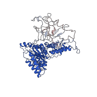 24519_7rl7_C_v1-2
Cryo-EM structure of human p97-R155H mutant bound to ATPgS.