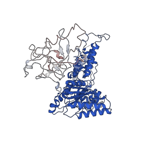 24519_7rl7_D_v1-2
Cryo-EM structure of human p97-R155H mutant bound to ATPgS.