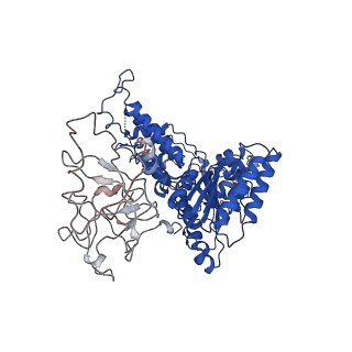 24519_7rl7_E_v1-2
Cryo-EM structure of human p97-R155H mutant bound to ATPgS.