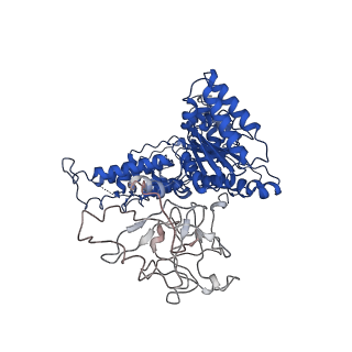 24519_7rl7_F_v1-2
Cryo-EM structure of human p97-R155H mutant bound to ATPgS.