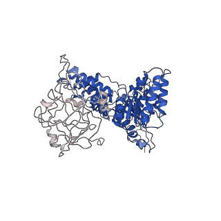 24522_7rl9_A_v1-2
Cryo-EM structure of human p97-R191Q mutant bound to ADP.