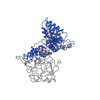 24522_7rl9_B_v1-2
Cryo-EM structure of human p97-R191Q mutant bound to ADP.