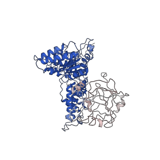 24522_7rl9_C_v1-2
Cryo-EM structure of human p97-R191Q mutant bound to ADP.