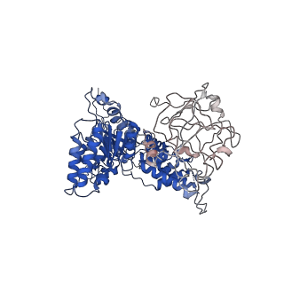 24522_7rl9_D_v1-2
Cryo-EM structure of human p97-R191Q mutant bound to ADP.