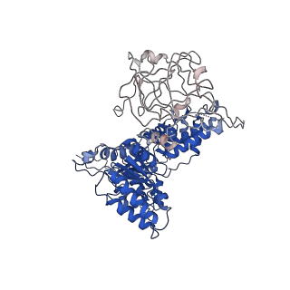 24522_7rl9_E_v1-2
Cryo-EM structure of human p97-R191Q mutant bound to ADP.
