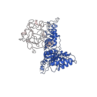 24522_7rl9_F_v1-2
Cryo-EM structure of human p97-R191Q mutant bound to ADP.