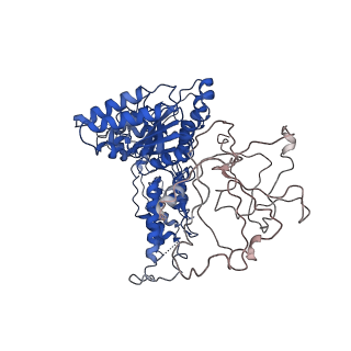 24523_7rla_B_v1-2
Cryo-EM structure of human p97-R191Q mutant bound to ATPgS.