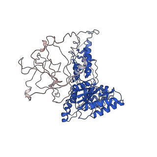 24523_7rla_E_v1-2
Cryo-EM structure of human p97-R191Q mutant bound to ATPgS.