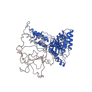 24523_7rla_F_v1-2
Cryo-EM structure of human p97-R191Q mutant bound to ATPgS.