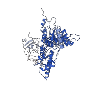 24524_7rlb_A_v1-2
Cryo-EM structure of human p97-A232E mutant bound to ADP