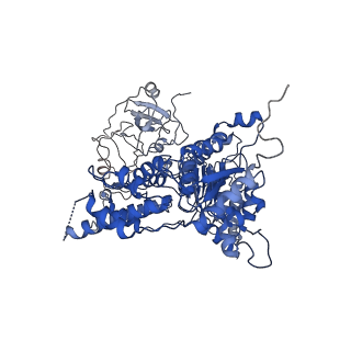 24524_7rlb_B_v1-2
Cryo-EM structure of human p97-A232E mutant bound to ADP