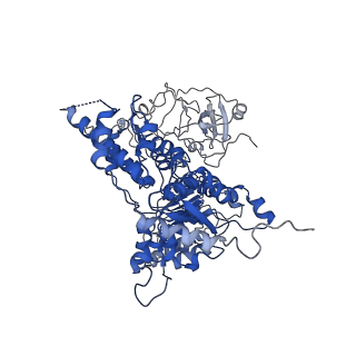 24524_7rlb_C_v1-2
Cryo-EM structure of human p97-A232E mutant bound to ADP