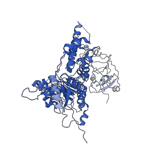 24524_7rlb_D_v1-2
Cryo-EM structure of human p97-A232E mutant bound to ADP