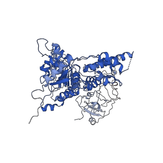 24524_7rlb_E_v1-2
Cryo-EM structure of human p97-A232E mutant bound to ADP