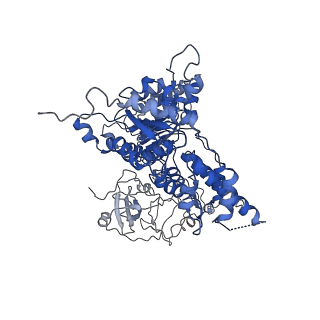 24524_7rlb_F_v1-2
Cryo-EM structure of human p97-A232E mutant bound to ADP