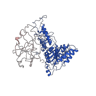 24525_7rlc_A_v1-2
Cryo-EM structure of human p97-A232E mutant bound to ATPgS.