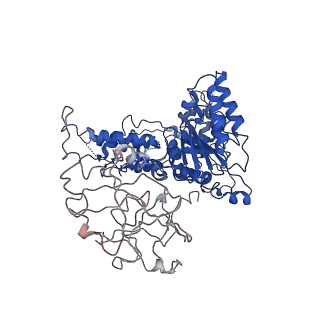 24525_7rlc_B_v1-2
Cryo-EM structure of human p97-A232E mutant bound to ATPgS.