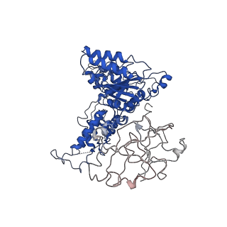 24525_7rlc_C_v1-2
Cryo-EM structure of human p97-A232E mutant bound to ATPgS.