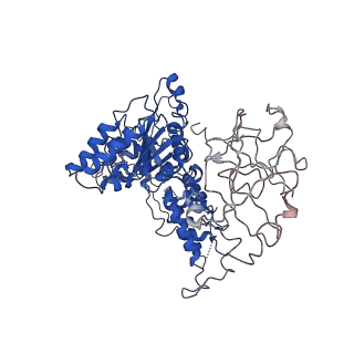 24525_7rlc_D_v1-2
Cryo-EM structure of human p97-A232E mutant bound to ATPgS.