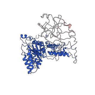 24525_7rlc_E_v1-2
Cryo-EM structure of human p97-A232E mutant bound to ATPgS.