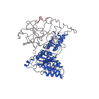 24525_7rlc_F_v1-2
Cryo-EM structure of human p97-A232E mutant bound to ATPgS.