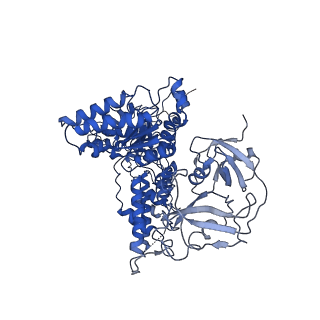 24526_7rld_A_v1-2
Cryo-EM structure of human p97-E470D mutant bound to ADP.
