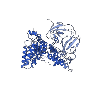 24526_7rld_B_v1-2
Cryo-EM structure of human p97-E470D mutant bound to ADP.