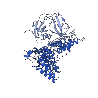 24526_7rld_C_v1-2
Cryo-EM structure of human p97-E470D mutant bound to ADP.